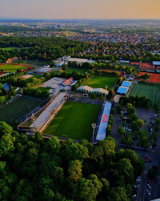 熊猫体育官方网站